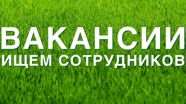 Предлагаем подробнее ознакомится с квотируемыми рабочими местами и вакансиями для инвалидов от центра занятости 
