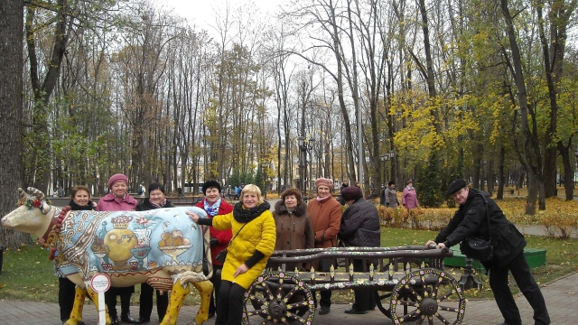 Великолукская ВОИ
