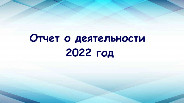 Информация о деятельности организации за 2022 год