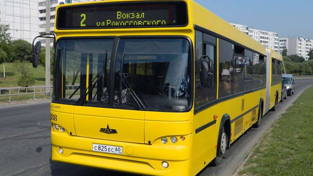 Проблема пассажирских перевозок в Псковской области