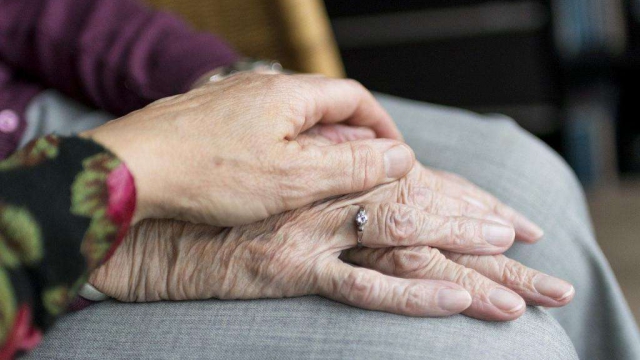 Необходимость развития общественной заботы об одиноких пожилых людях обсудили в Пскове