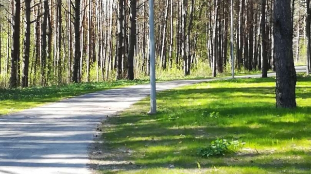 21 июня Псковская областная общественная организация «Чудской проект» приглашает псковичей на бесплатные экскурсии в Корытовский лесопарк